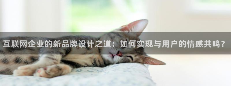 九游会赌场在哪