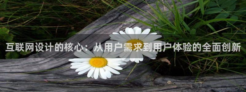 j9九游会百家