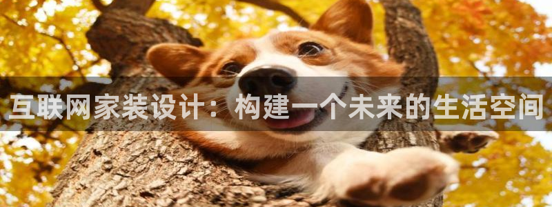 j9九游会数字