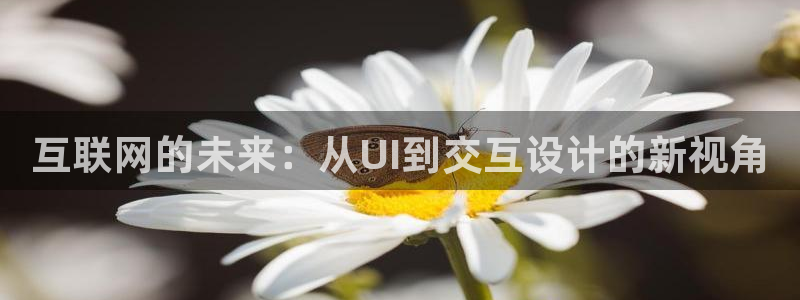 九游会路线入口