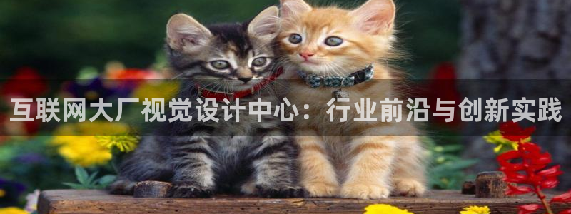 九游会体育官方