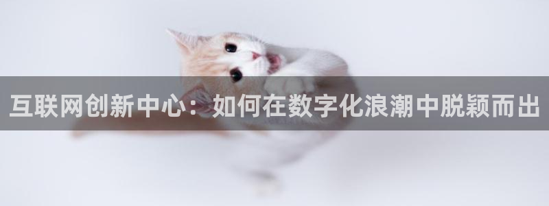 下载九游会