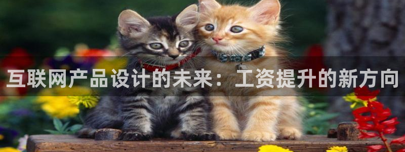 九游会ag合作平台