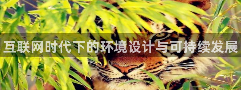 九游会健康吗