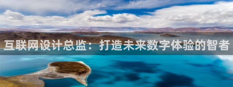 担保网九游会