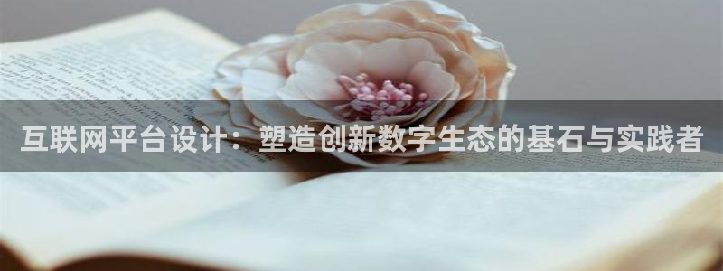 在九游放视频会怎么样啊