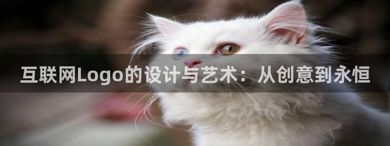 九游真人会