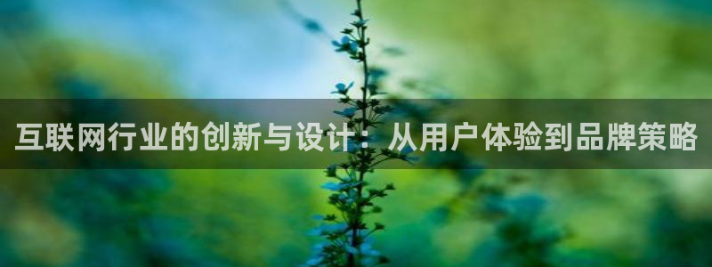 亚游九游会可信么：互联网行业的