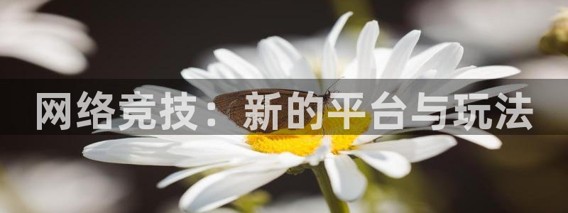 九游会登陆官方网站
