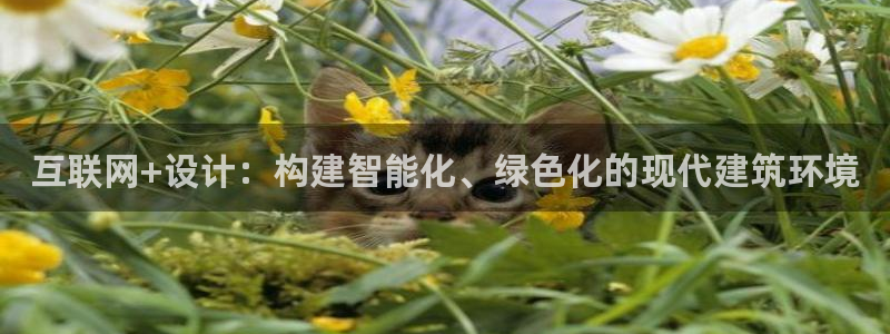 九游会真人游戏第一品牌