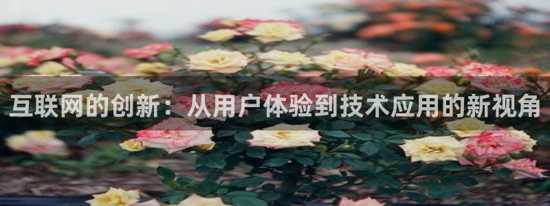 J9九游会官方网站