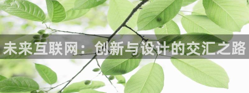 j9游戏九游会手机