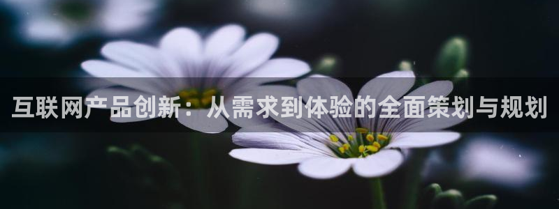 九游会国际集团