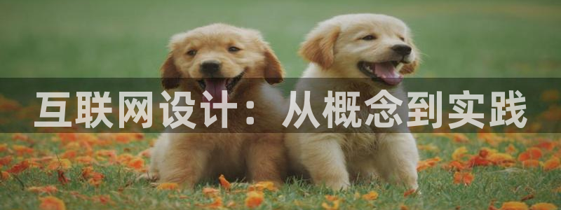 九游会j9提现快吗