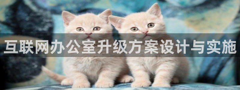 九游亚运会