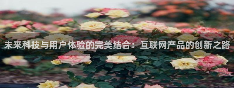 九月游会