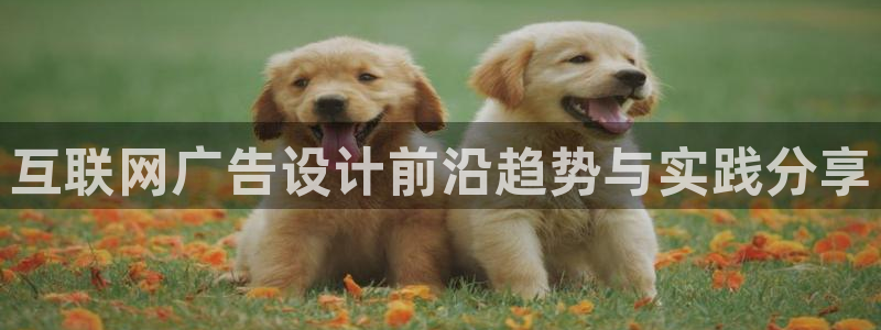 九游会aj亚州