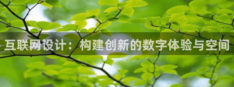 九游会网页版登录：互联网设计：