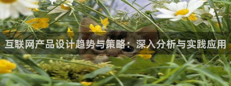九游会官网真人