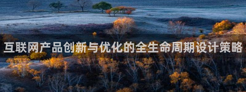 哪个才是九游会
