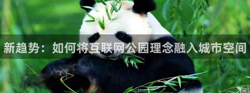九游会输钱：新趋势：如何将互联
