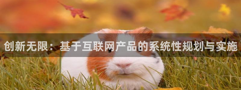 九游会v6卖号：创新无限：基于