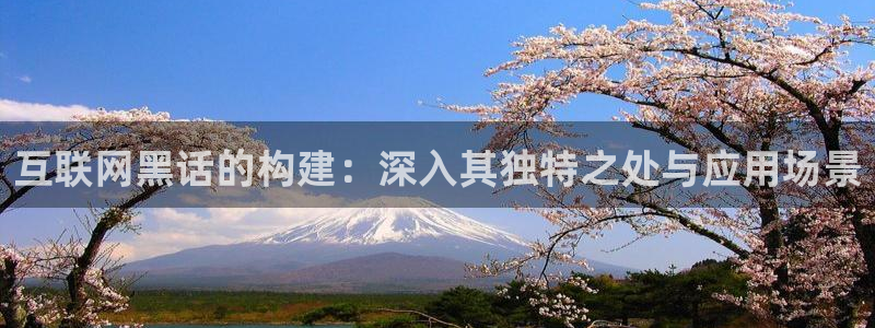 j92019九游会：互联网黑话
