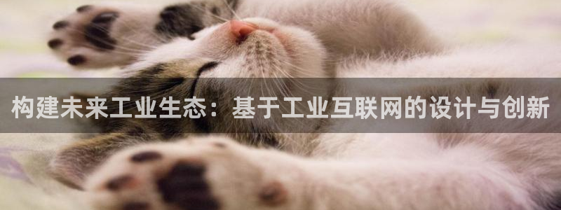 九游和九游会的区别